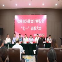 徐州市注冊會(huì)計(jì)師行業(yè)“七一”表彰大會(huì)在我公司成功舉行